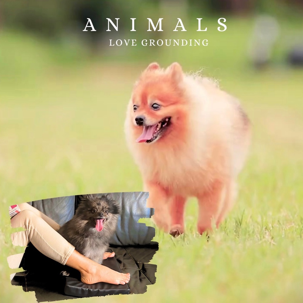 GROUNDING FOOT REST - Picture 7 of 7